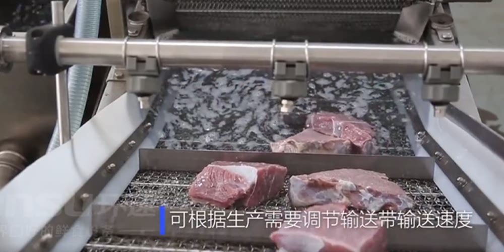 鮮食清洗機-肉食系列 肉食翻洗機設(shè)備