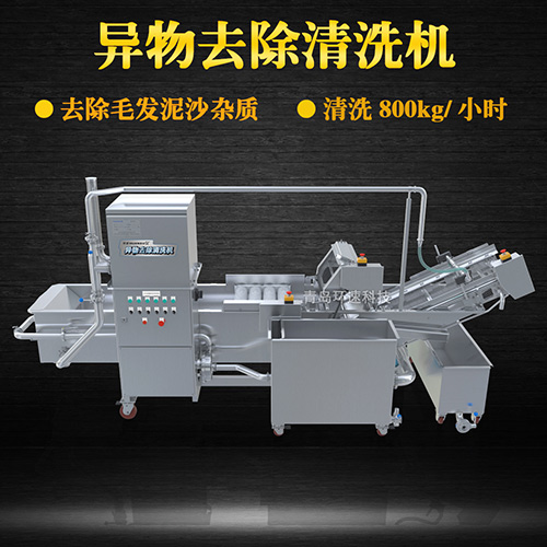 果蔬氣泡清洗機，清洗800kg小時，果蔬氣泡清洗機