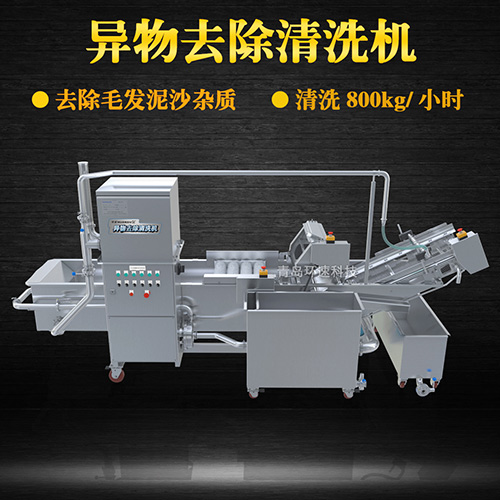 果蔬自動清洗機，清洗800kg小時，果蔬自動清洗機